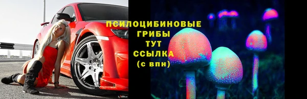 jwh Бородино
