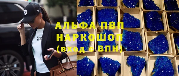 jwh Бородино