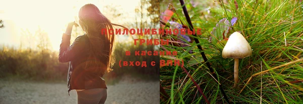 дмт Бронницы