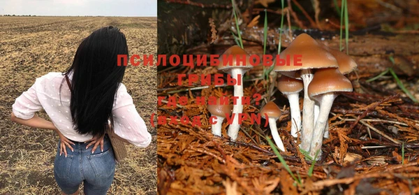 дмт Бронницы