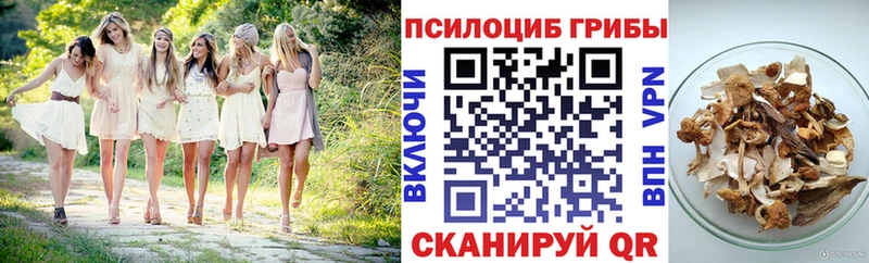 Купить где  Курчатов  Галлюциногенные грибы ЛСД 