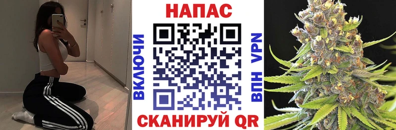 Купить  Курчатов  Марихуана White Widow 